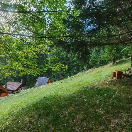 Nature Escape Woodhouse * Zirovnica